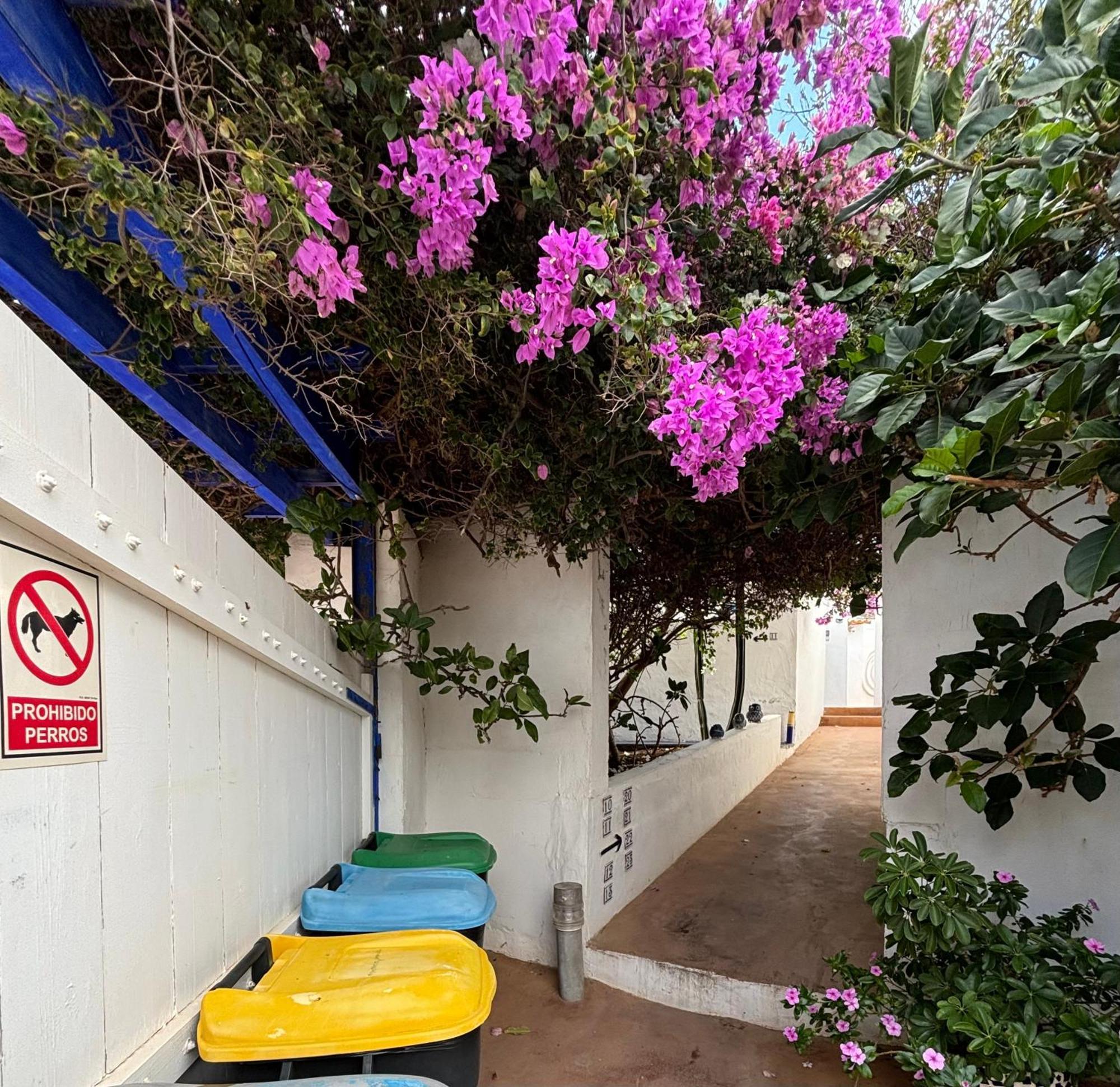 Apartamentos Y Habitaciones Villa Marina La Caleta  Extérieur photo