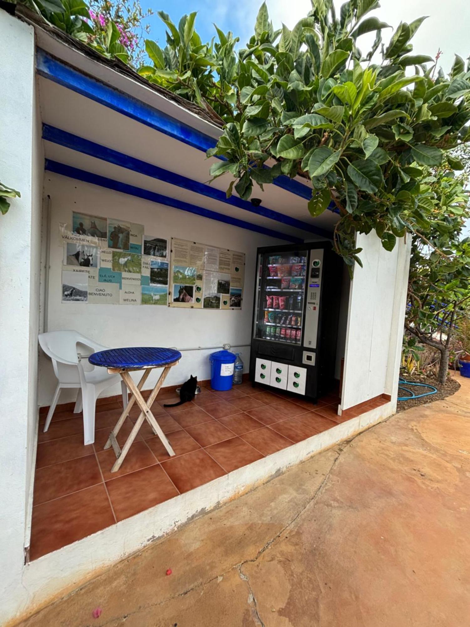 Apartamentos Y Habitaciones Villa Marina La Caleta  Extérieur photo